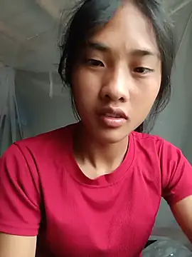 Hoa-tuylip Show Webcam