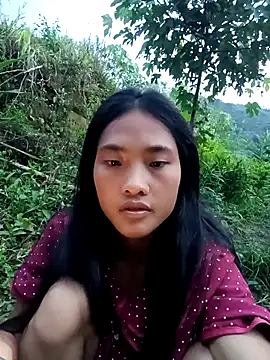 Hoa-tuylip Webcam show