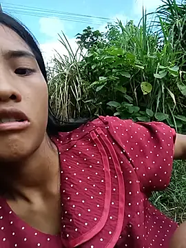 Hoa-tuylip Webcam-Show