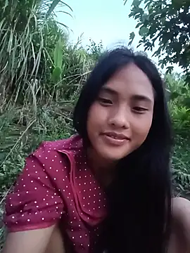 Hoa-tuylip – webcam-show