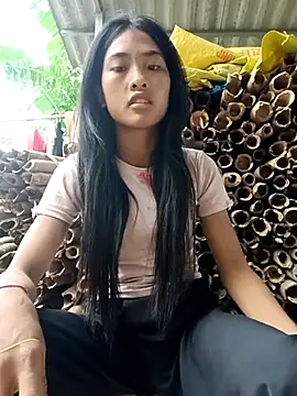 Hoa-tuylip Webcam-Show