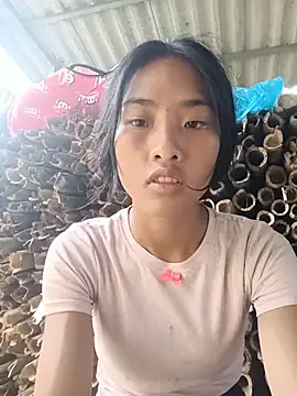 Hoa-tuylip Webcam show