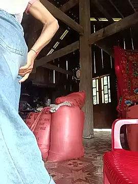 Hoa-tuylipのウェブカメラショー