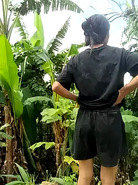 Hoa-tuylip Webcam-Show
