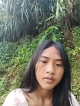 Hoa-tuylip Webcam show