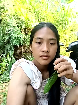 Hoa-tuylip Pertunjukan Webcam