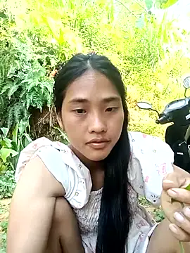 Hoa-tuylip Show Webcam