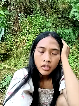 Hoa-tuylip Pertunjukan Webcam