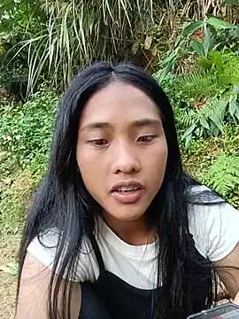 Hoa-tuylip Pertunjukan Webcam