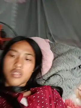 Hoa-tuylip webcam show