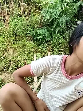 Hoa-tuylip Pertunjukan Webcam