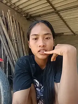 Hoa-tuylip Webcam-Show