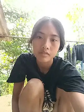 Hoa-tuylip Webcam show