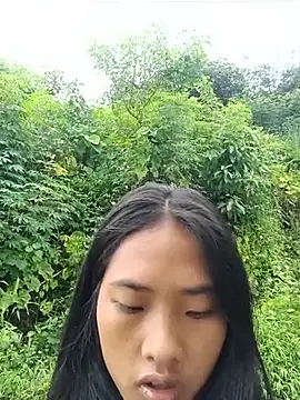 Hoa-tuylip webcam show