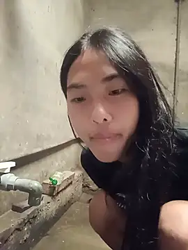Hoa-tuylip webcam show