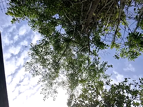 Webkamerová show SexMachineMaks