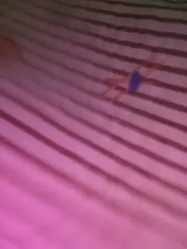 Heo_xxinhxx 실시간 채팅방