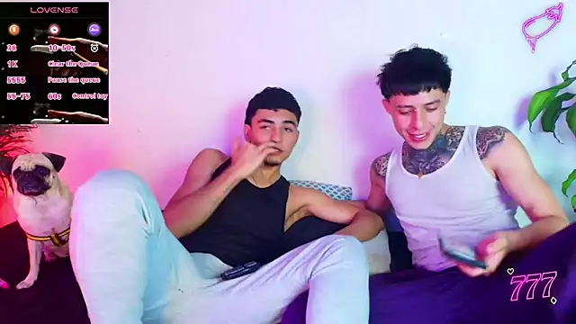 عرض كام tiancam
