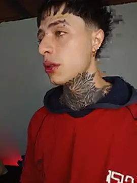 tiancam Webcam-Show