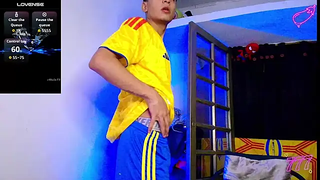 Show webcam de tiancam