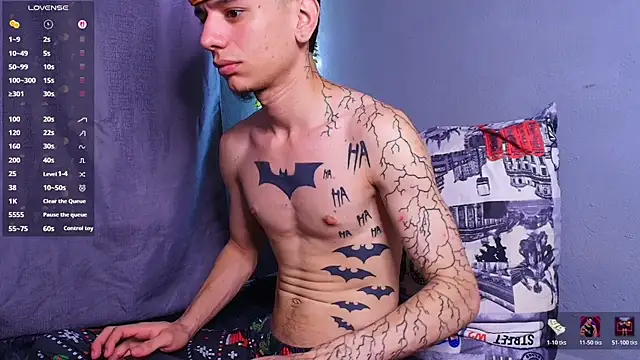 TheBatMansionn Webbikameraesitys