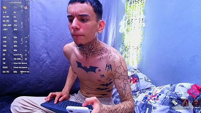 TheBatMansionn Webbikameraesitys