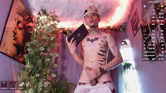 Show Webcam de TheBatMansion