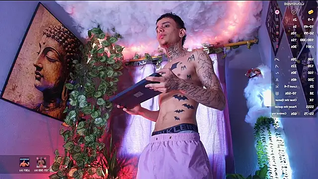 הופעת וובקאם של TheBatMansion