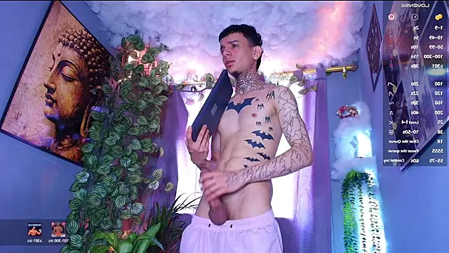 عرض كام TheBatMansion