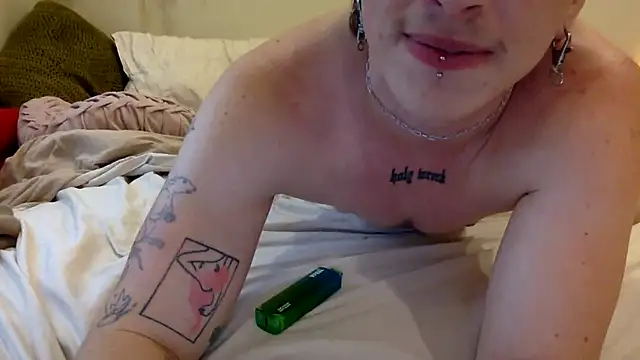 Show Webcam de tommyteaser