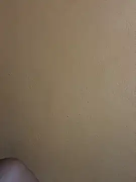 Neguimhhh ওয়েবক্য াম শো