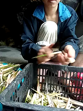 Hayaya11 Show Webcam