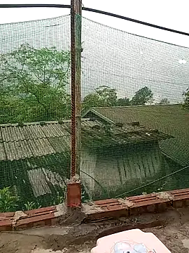 Hayaya11 webcam show