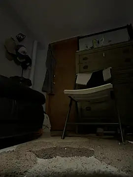 Show webcam de Slimcox90