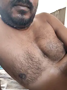 Bengal_Tiger420n Webbikameraesitys