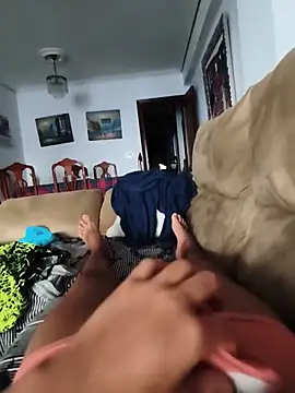 CattingSample Webcam show