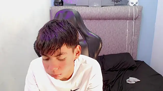 Liarr_n Webbikameraesitys
