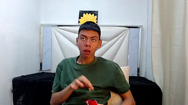 Liarr_n Webbikameraesitys