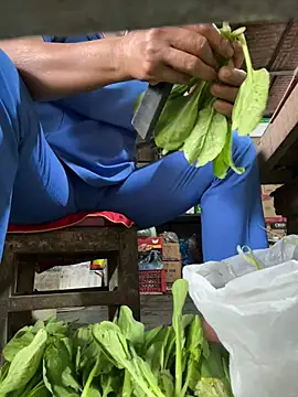 BellaCherishDarling Шоу с уебкамера