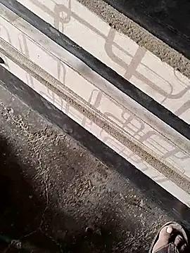 Show Webcam de hardi9049