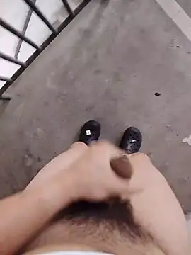 Wvpppp Show in webcam