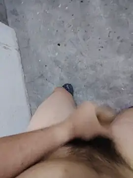 Wvpppp Show Webcam