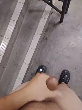 Wvppppn Webbikameraesitys