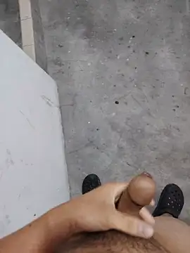 Wvpppp Show Webcam
