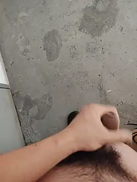 Wvpppp 网络视讯表演