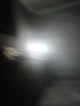 Sala de chat en directo de Sgs594802799
