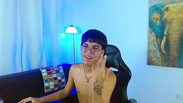 Maecum18n Webbikameraesitys
