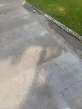 Show de webcam de andresj22hot