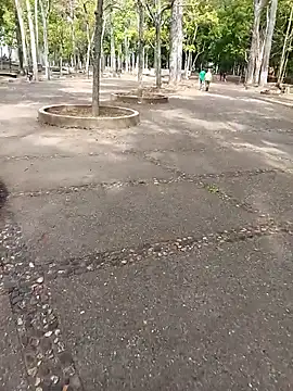 andresj22hot Show in webcam