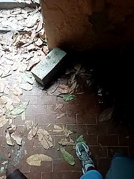 andresj22hot 网络视讯表演